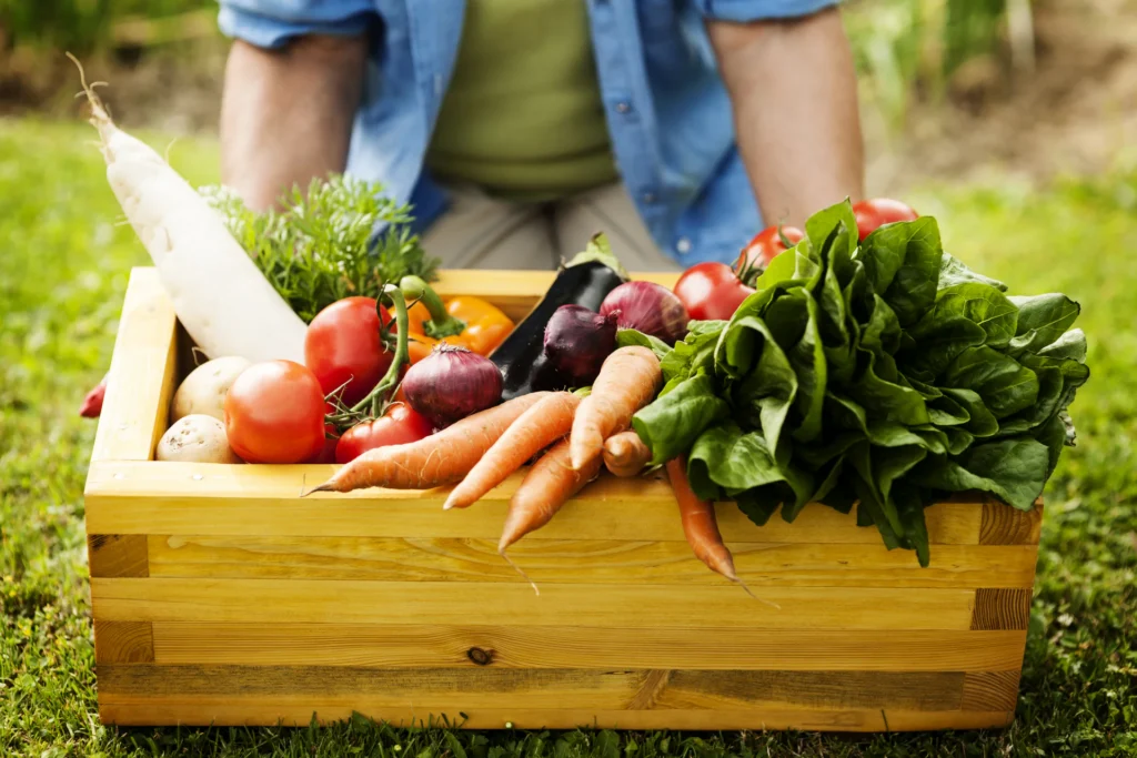Photo d'une caisse remplit de légumes d'un petit producteur issu d'un circuit court